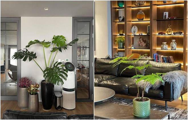 MC Thành Trung khoe góc ban công cực chill trong penthouse 260m2, nhận xét một câu về vợ-2