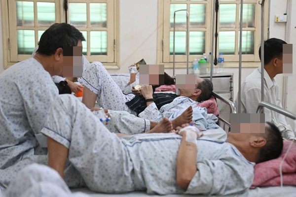 Hà Nội: Gần 3000 người đang nằm viện vì... muỗi-2