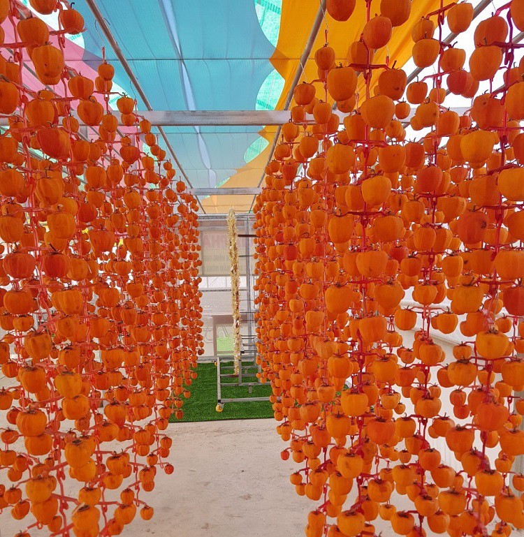 Thứ quả quê mùa từng bị chặt bỏ, giờ mang treo trước gió bán giá gấp 20 lần-2