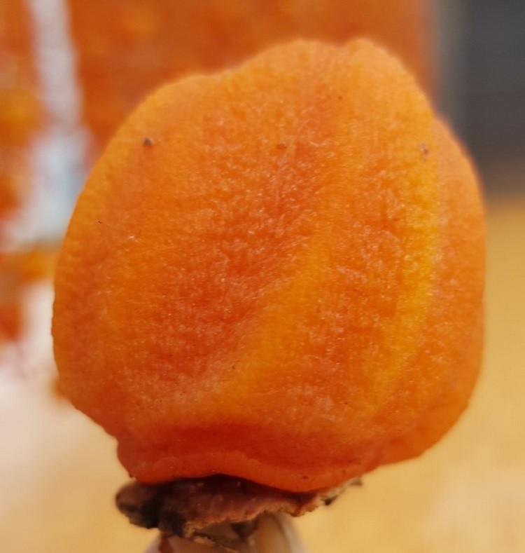 Thứ quả quê mùa từng bị chặt bỏ, giờ mang treo trước gió bán giá gấp 20 lần-3