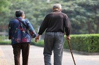 Tôi không thể trở về quê khi đã bán nhà cho con mua chung cư ở Hà Nội