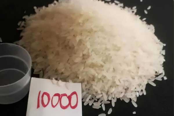 Giáo viên giao bài tập bắt nộp 10.000 hạt gạo khiến phụ huynh bức xúc: Cả nhà ngồi đếm tới đêm không xong-1