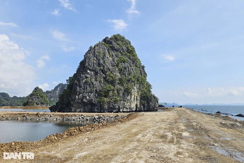 Chủ dự án lấn biển ở Quảng Ninh bị phạt 125 triệu đồng-2