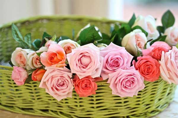 Chúc mừng 3 con giáp đạt vận may cực thịnh năm 2024, nửa đầu năm trôi qua suôn sẻ, nửa cuối năm sẽ giàu có-4