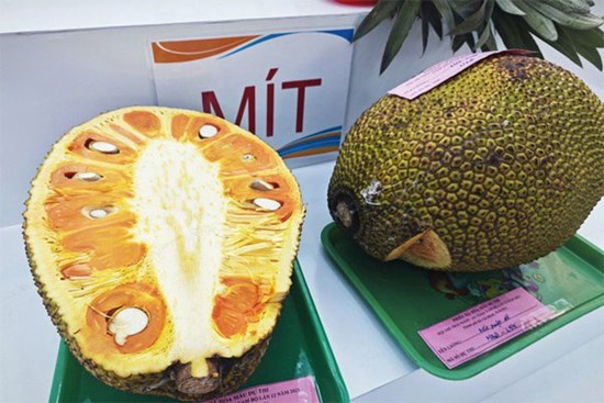 Mít ruột đỏ lại sốt giá, nhà vườn trúng đậm
