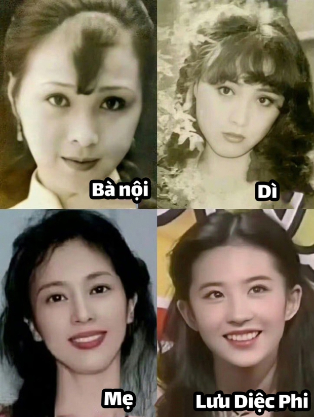 Lưu Diệc Phi xinh đẹp ai cũng biết nhưng nhìn sang nhan sắc bà ngoại và mẹ thì quả là cực phẩm-1