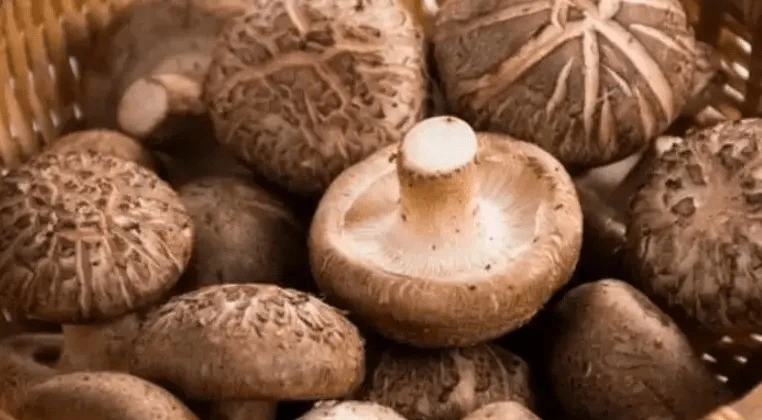 Loại rau vua miễn dịch, giàu dinh dưỡng hơn thịt bò, chế biến kiểu gì cũng ngon, trẻ già đều mê-1