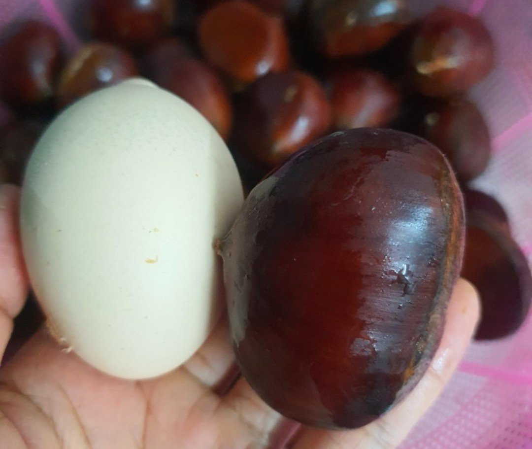 Hạt dẻ siêu to khổng lồ giá chỉ 30.000 đồng/kg, dân tình tò mò đua nhau mua thử-1