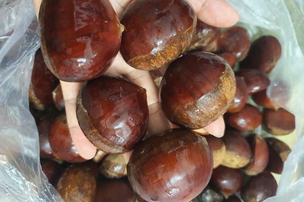 Thứ hạt tưởng vứt đi, ai ngờ có bao nhiêu thương lái cũng thu mua hết-3