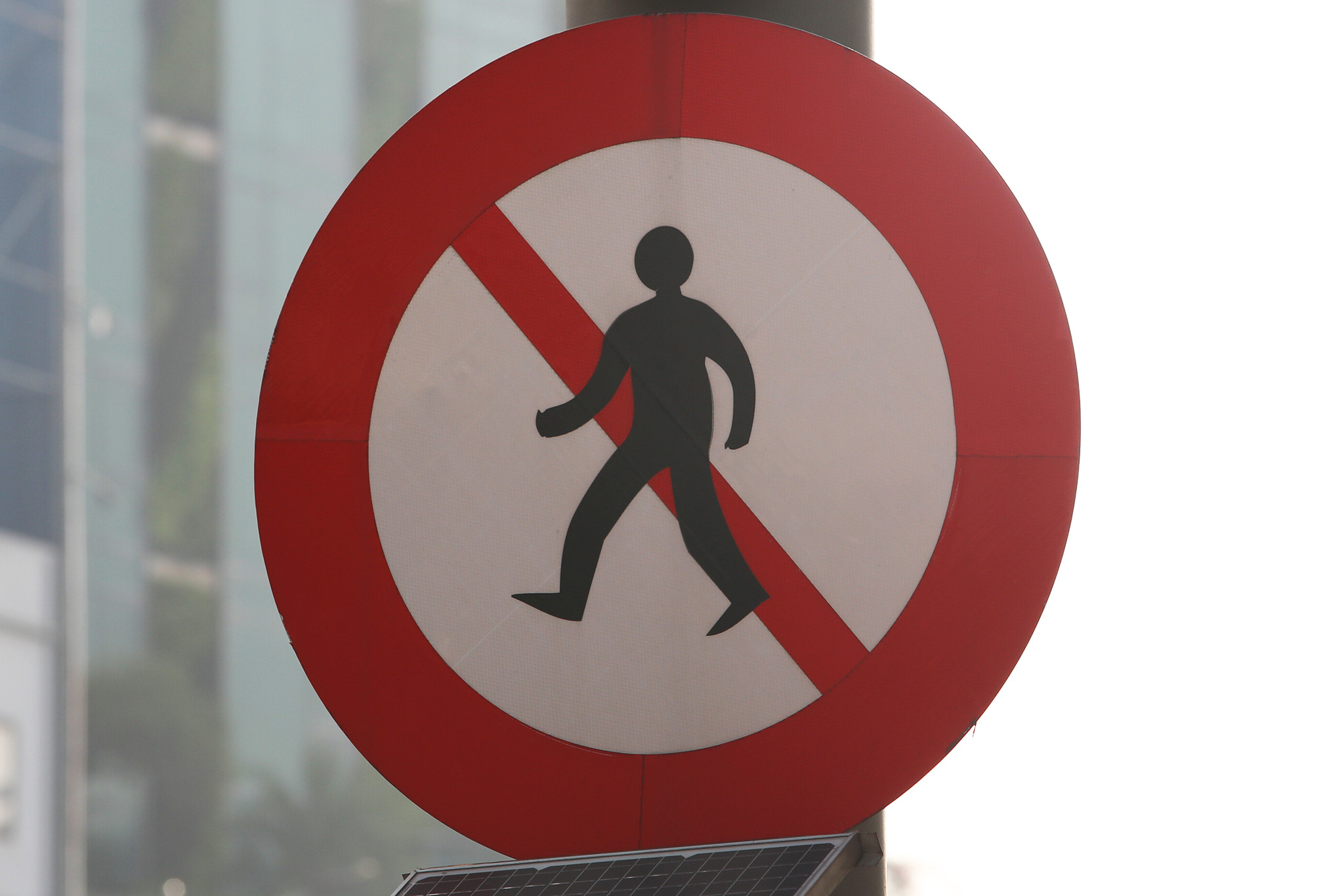 Sang đường tùy tiện, người đi bộ nhận trát phạt của CSGT-2