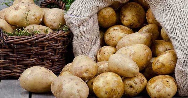 Vùi củ khoai tây xuống cát: Cả tháng không lo điều này, bỏ túi ngay để áp dụng-1