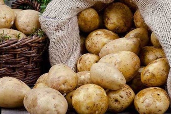 Vùi củ khoai tây xuống cát: Cả tháng không lo điều này, bỏ túi ngay để áp dụng