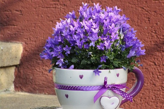 Nước chảy chỗ trũng: Từ 9/11, 3 con giáp hút tài lộc cực mạnh, tiền trong túi sinh sôi liên tục