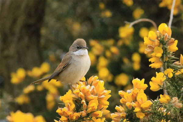 Ai sinh ngày Âm lịch này lắm tài năng, giỏi ăn nói nhưng đường tình duyên gập ghềnh, xui xẻo-1