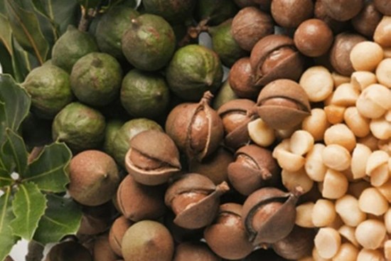 1 loại hạt được mệnh danh “nữ hoàng quả khô”, giá trị dinh dưỡng cực cao, nhưng “đắt xắt ra miếng”