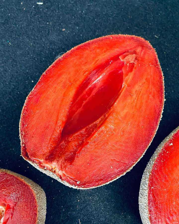 Thấy hồng xiêm lạ”, anh nông dân chi 200 triệu để mua giống về trồng-2