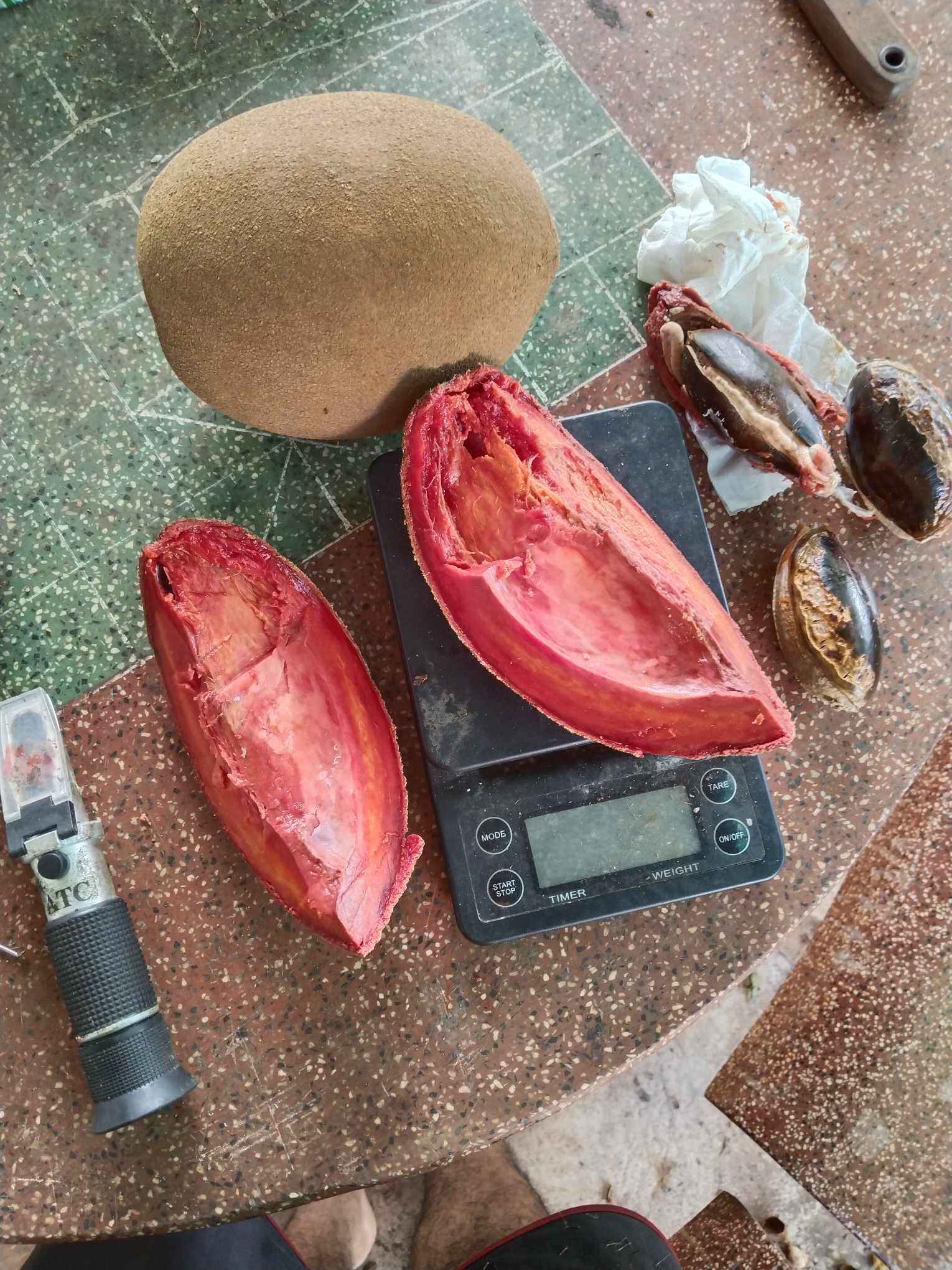 Thấy hồng xiêm lạ”, anh nông dân chi 200 triệu để mua giống về trồng-3