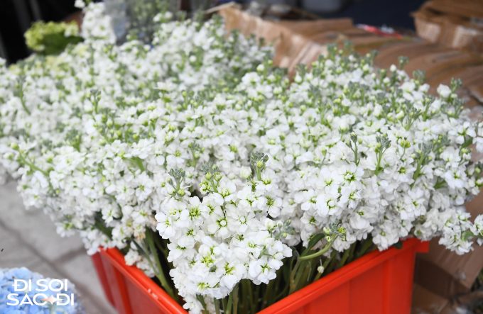 Đám cưới Đoàn Văn Hậu trang trí bằng hoa tươi nhập khẩu, cô dâu Doãn Hải My cử người xuống giám sát cắm hoa-8