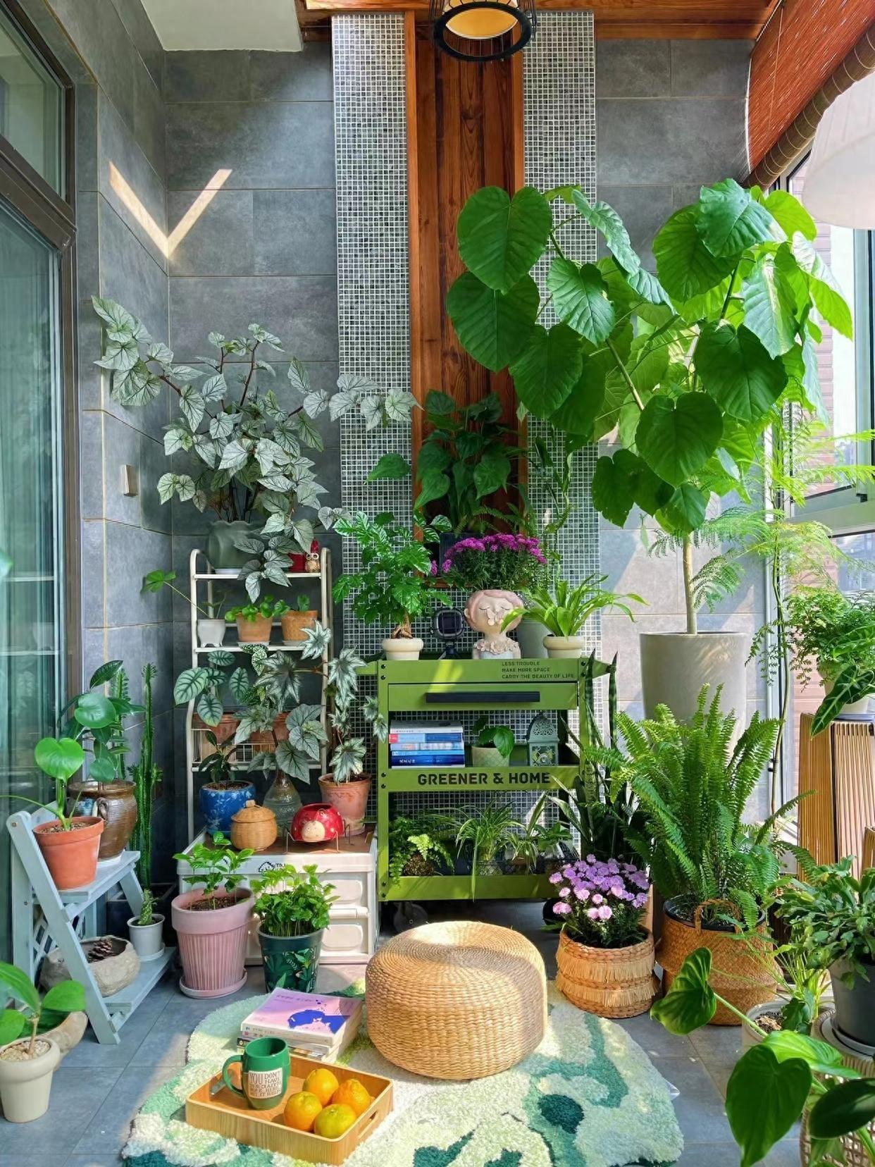 3 mẹo hay giúp cô gái trẻ nổi tiếng nhờ trồng hoa trên ban công 9m2-1