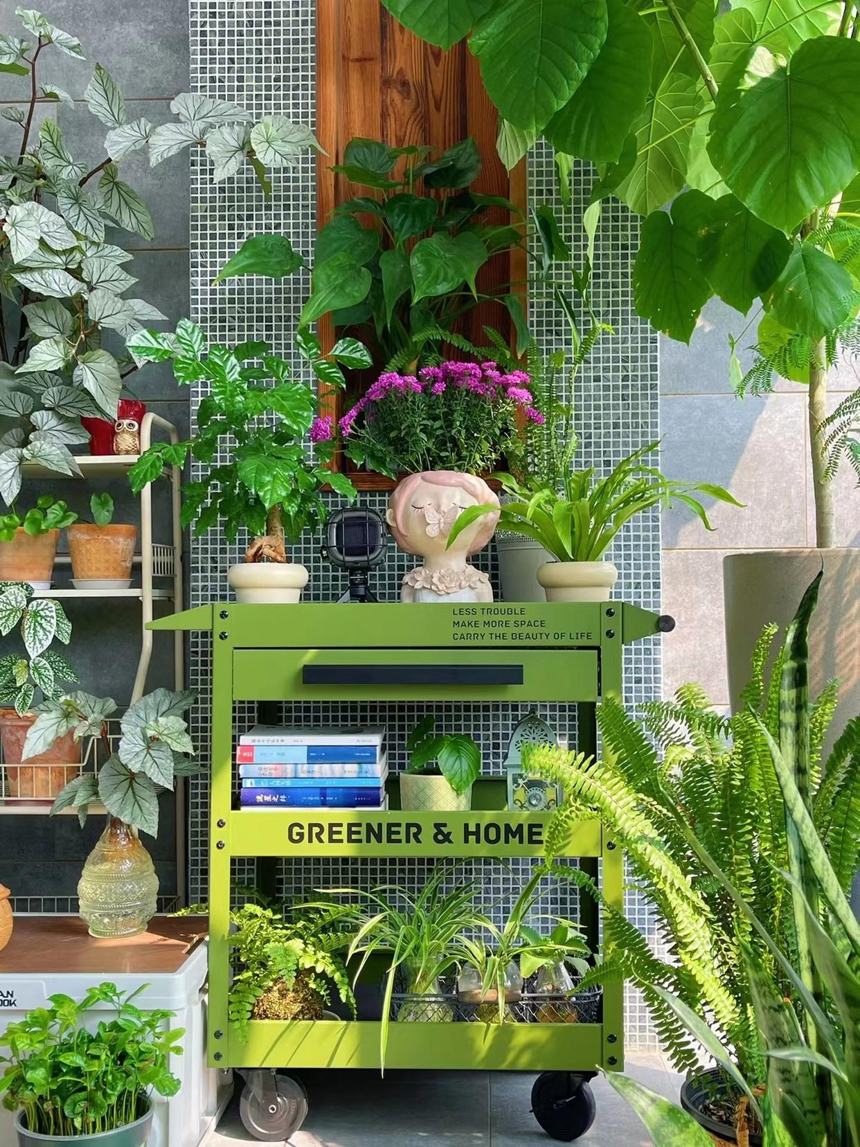 3 mẹo hay giúp cô gái trẻ nổi tiếng nhờ trồng hoa trên ban công 9m2-2