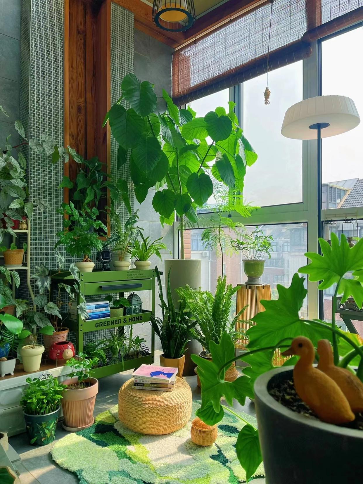 3 mẹo hay giúp cô gái trẻ nổi tiếng nhờ trồng hoa trên ban công 9m2-3