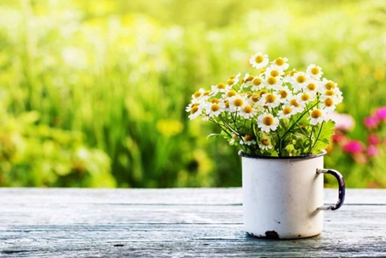 Tử vi tuần mới 13/11 - 19/11/2023: Tuổi Sửu bước tiến quan trọng, tuổi Mùi đối diện thách thức