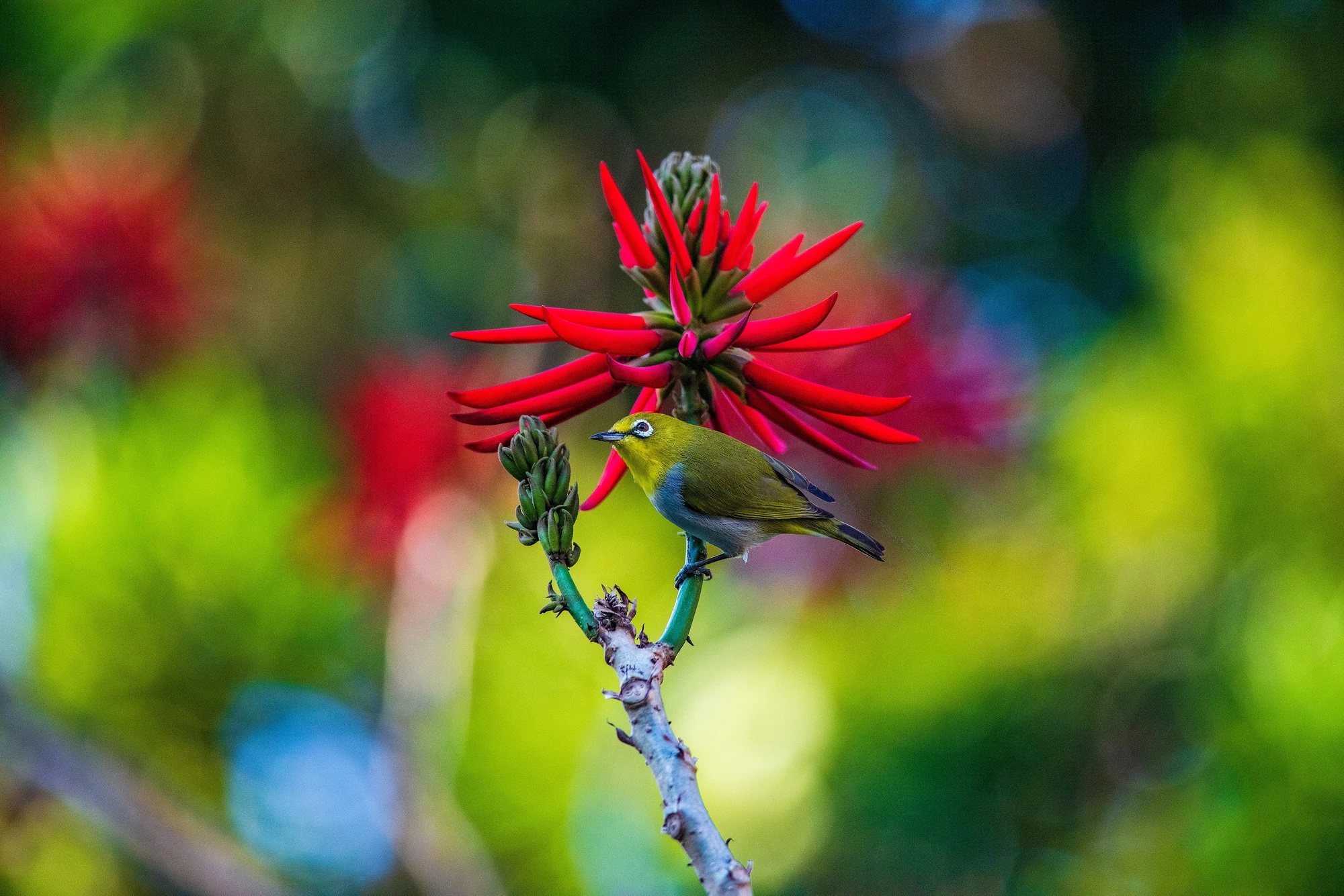 Vượng vận quý nhân: Sinh vào tháng Âm lịch này quyến rũ, khéo léo, cuộc đời suôn sẻ, phú quý-3