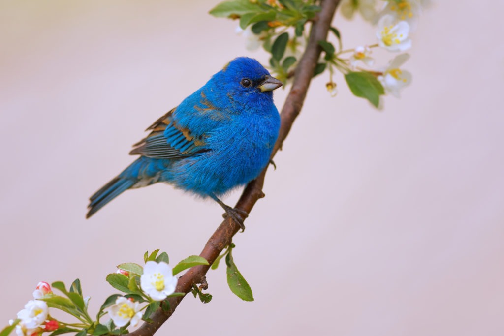 Tháng 10 Âm lịch, 4 con giáp có nhiều bước tiến lớn, thu nhập tăng đều, tương lai không còn lo lắng-3