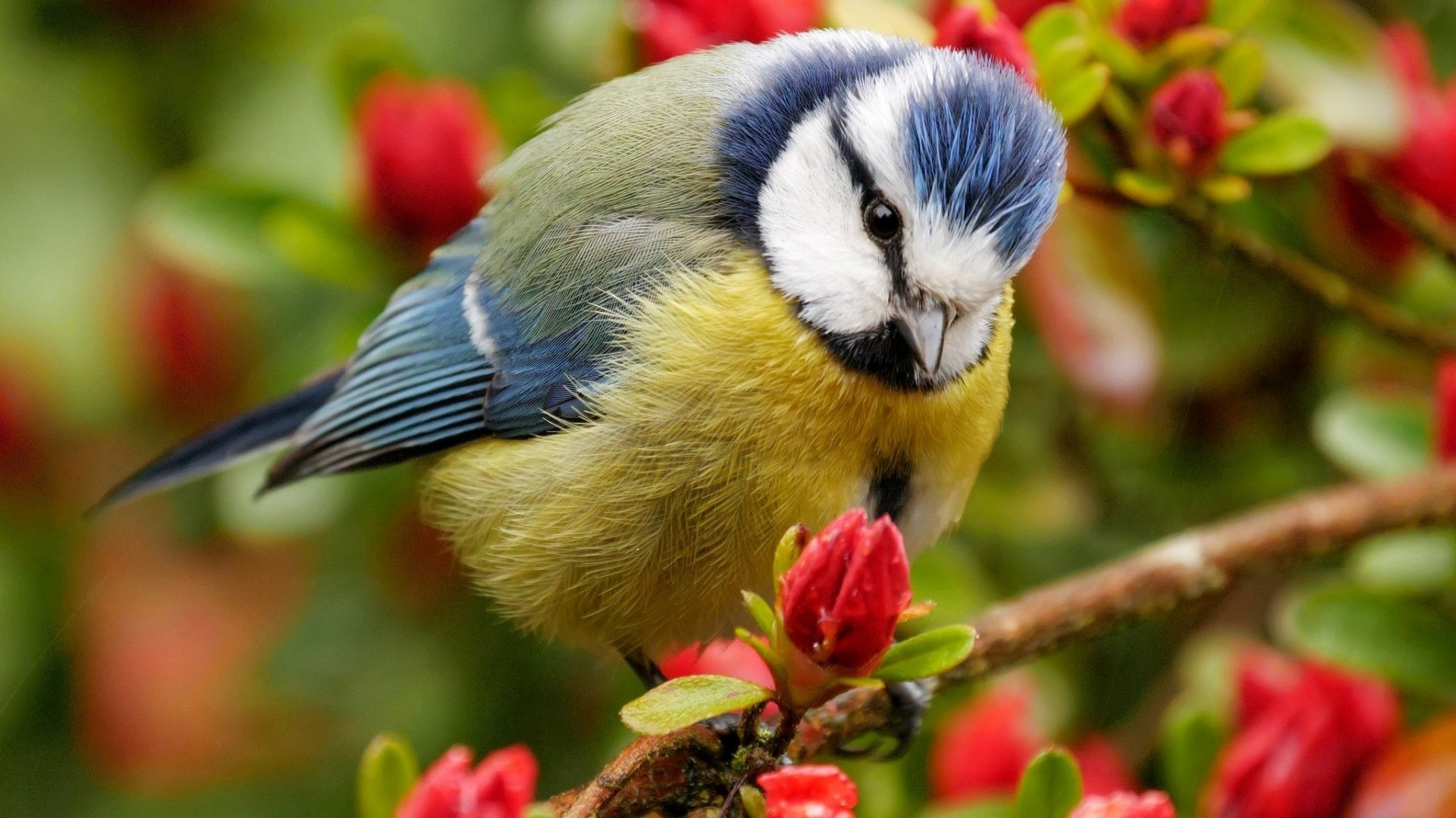 Tháng 10 Âm lịch, 4 con giáp có nhiều bước tiến lớn, thu nhập tăng đều, tương lai không còn lo lắng-4