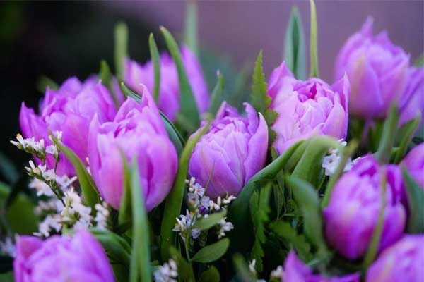 Người sinh vào 4 ngày Âm lịch này khó khăn không nản, ở hiền gặp lành, ví tiền cứ vơi lại đầy-1