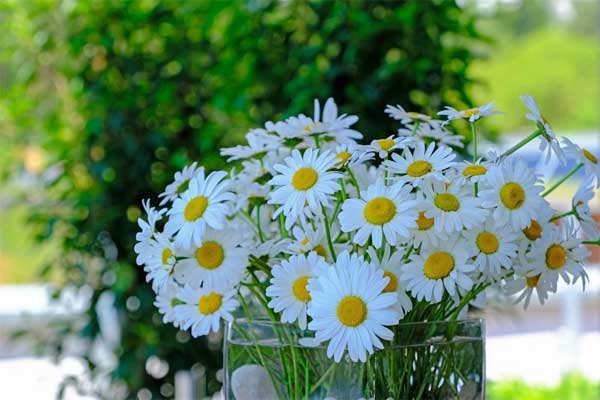 Người sinh vào 4 ngày Âm lịch này khó khăn không nản, ở hiền gặp lành, ví tiền cứ vơi lại đầy-3