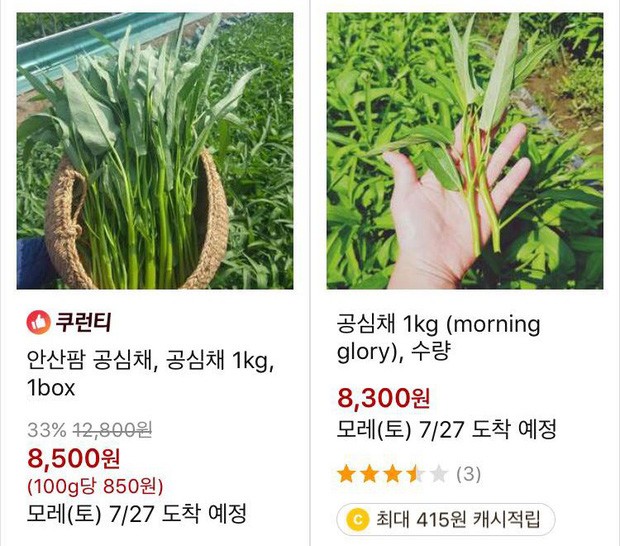 Loại rau ví như lộc trời ở Việt Nam rẻ bèo, sang trời Tây 50.000 đồng được vài cọng-1