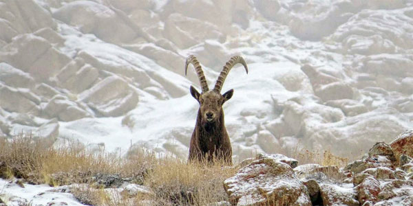 Bí ẩn về cấu trúc rỗng và kho báu bí ẩn bên trong dãy Himalaya-5