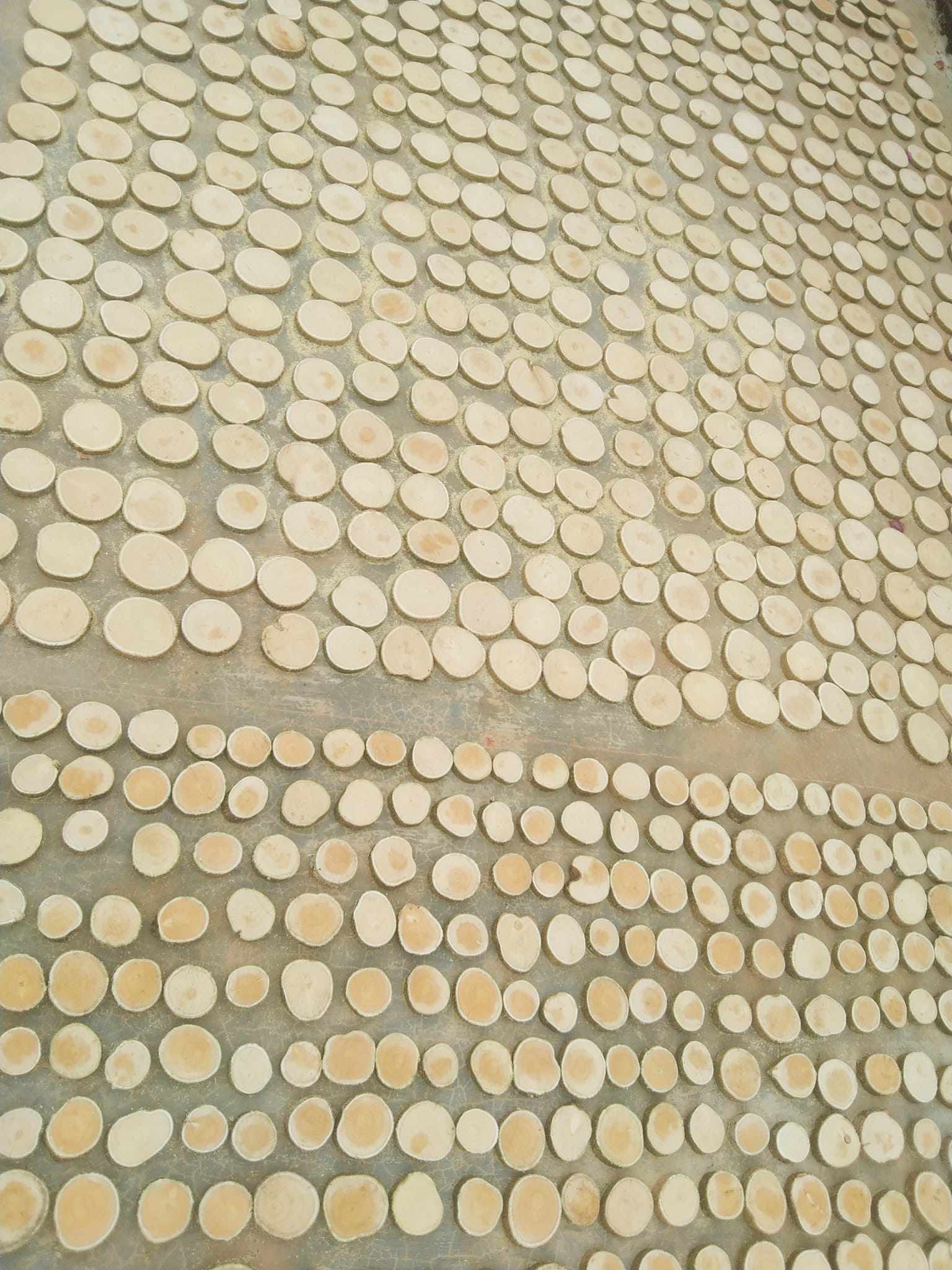 Cắt gỗ thành khoanh mỏng bán chơi, ai ngờ khách thích, mỗi vụ bán vài nghìn chiếc-2