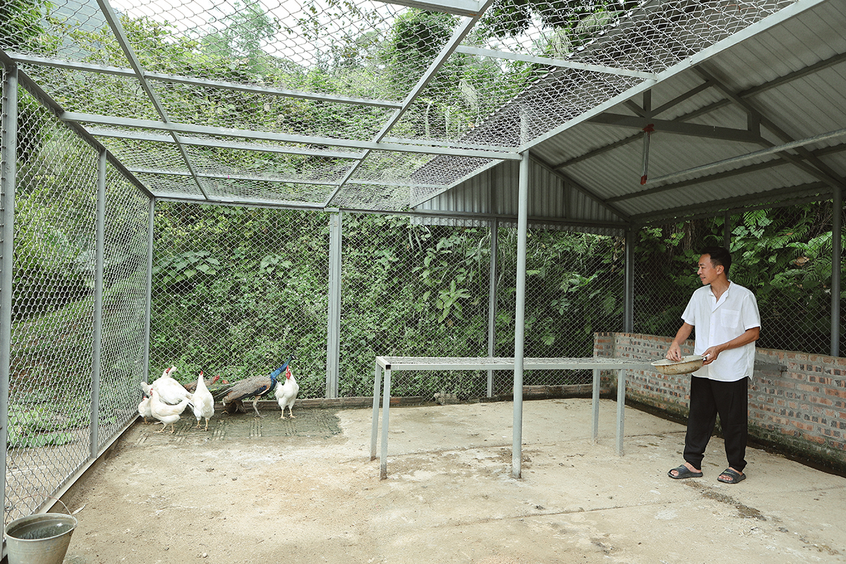 Thông báo ly hôn vào ngày lễ độc thân, để lại nhà cho vợ cũ cùng 3 con, ca sĩ Việt Hoàn hiện sống ra sao?-2