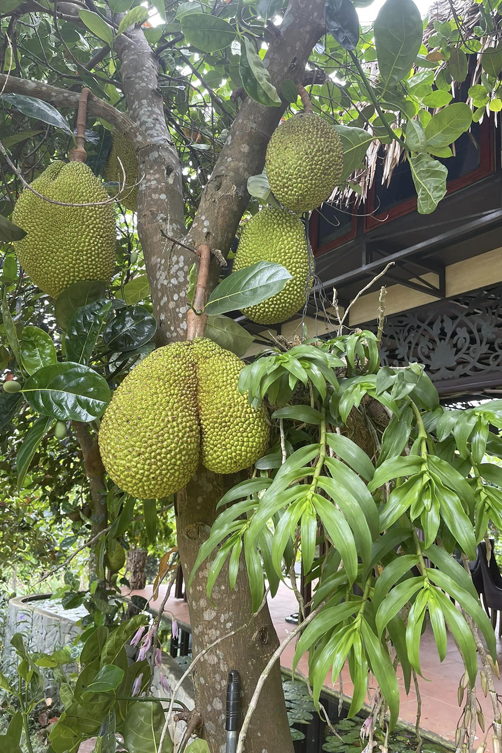 Thông báo ly hôn vào ngày lễ độc thân, để lại nhà cho vợ cũ cùng 3 con, ca sĩ Việt Hoàn hiện sống ra sao?-4