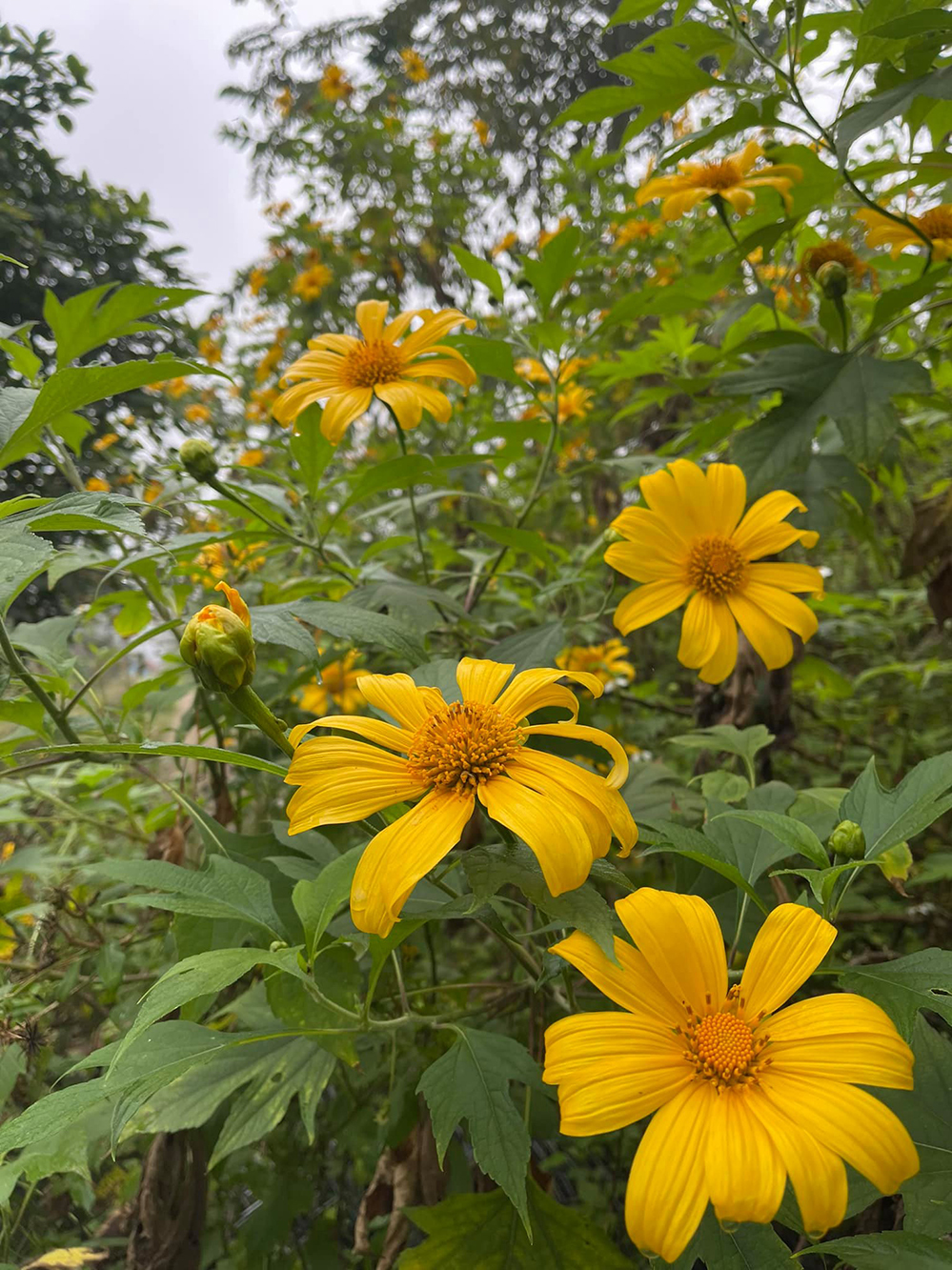 Thông báo ly hôn vào ngày lễ độc thân, để lại nhà cho vợ cũ cùng 3 con, ca sĩ Việt Hoàn hiện sống ra sao?-12