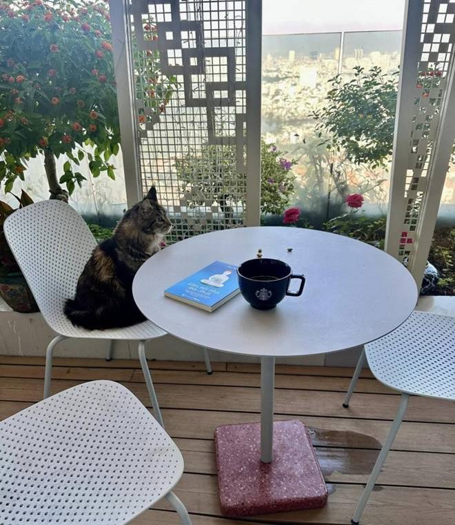 Hoa hậu Thu Hoài khoe không gian uống cafe đẹp như mơ, biệt thự nào cũng đẳng cấp-2