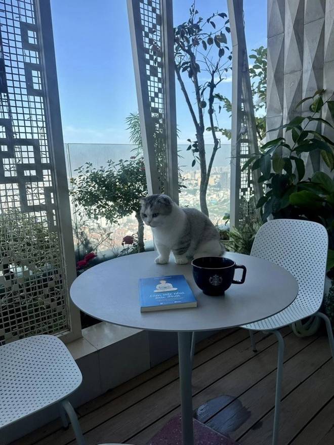 Hoa hậu Thu Hoài khoe không gian uống cafe đẹp như mơ, biệt thự nào cũng đẳng cấp-3