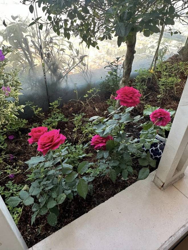 Hoa hậu Thu Hoài khoe không gian uống cafe đẹp như mơ, biệt thự nào cũng đẳng cấp-4