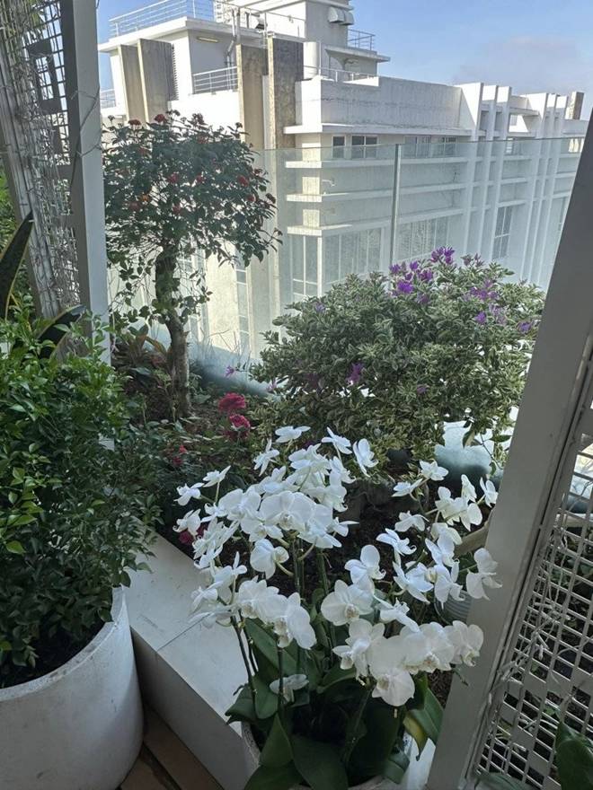 Hoa hậu Thu Hoài khoe không gian uống cafe đẹp như mơ, biệt thự nào cũng đẳng cấp-5