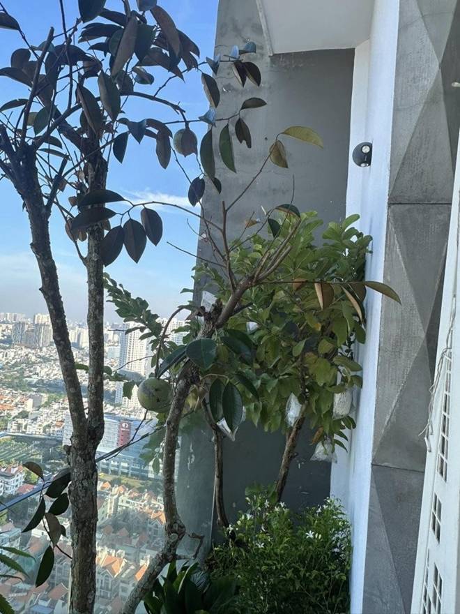 Hoa hậu Thu Hoài khoe không gian uống cafe đẹp như mơ, biệt thự nào cũng đẳng cấp-7