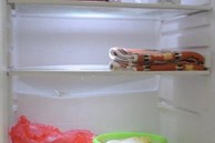 Tại sao nên bỏ một chiếc khăn cũ vào tủ lạnh? Người thông minh nhìn là hiểu ngay