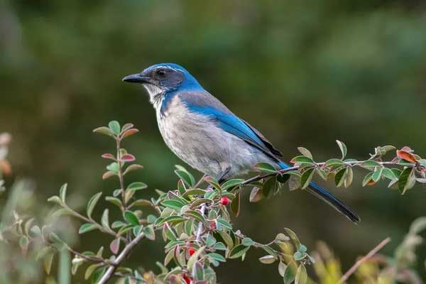 Tháng 10 Âm lịch: 4 con giáp mùa màng bội thu, cuộc sống sung túc, tạm biệt nghèo khó-3