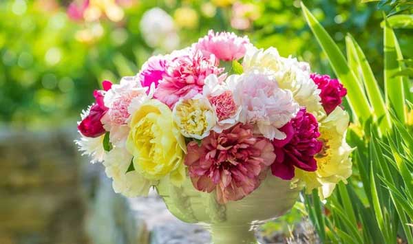 Thần Tài sủng ái: Ai sinh ngày Âm lịch này trưởng thành trong khó khăn, trung niên ắt giàu có-3