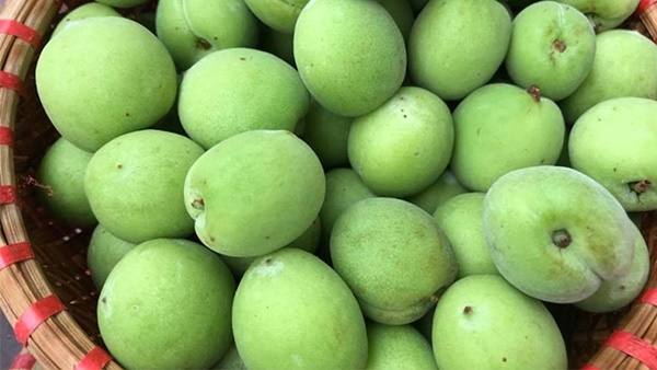 1 loại quả ngon ở chợ Việt có chỉ số đường huyết cực thấp: Là thuốc quý cho người tiểu đường, còn ngăn ngừa cả ung thư-2