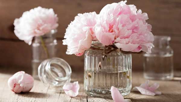 Công danh rộng mở: 15 ngày cuối tháng 11, 3 con giáp phát tài thuận lợi, phất lên như diều gặp gió-2