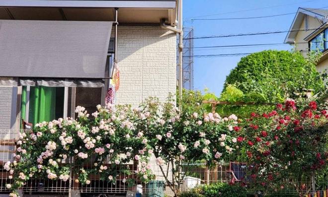 Sang Nhật với 2 bàn tay trắng, cặp đôi 9X tậu nhà hơn 11 tỷ, thi công chỉ trong 2 tháng-3