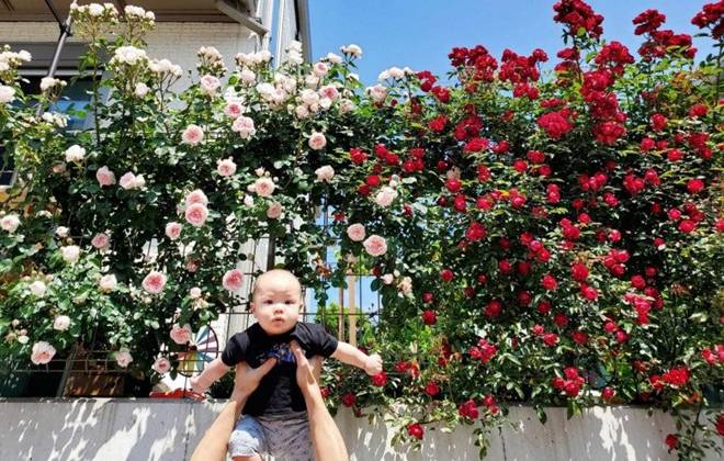 Sang Nhật với 2 bàn tay trắng, cặp đôi 9X tậu nhà hơn 11 tỷ, thi công chỉ trong 2 tháng-4