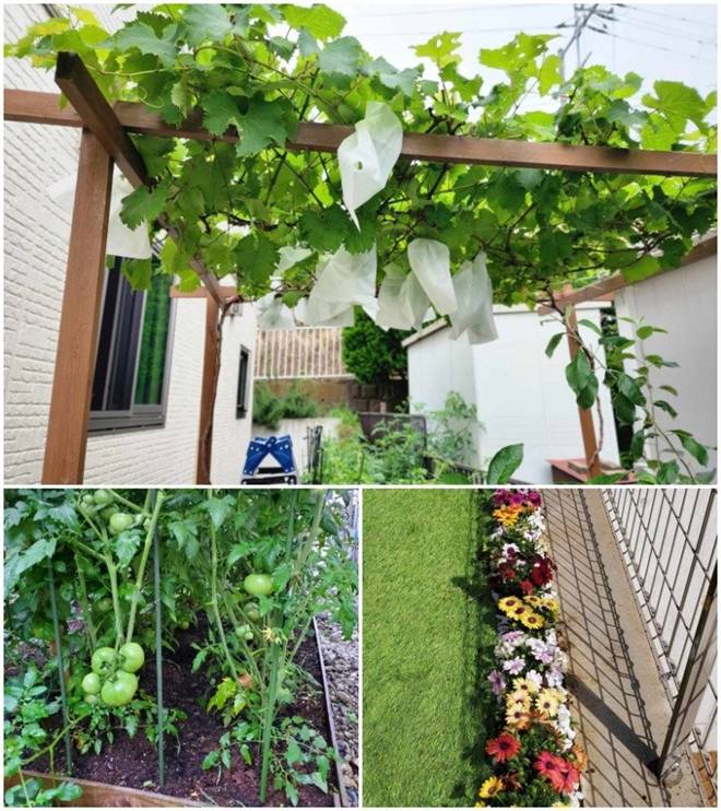 Sang Nhật với 2 bàn tay trắng, cặp đôi 9X tậu nhà hơn 11 tỷ, thi công chỉ trong 2 tháng-13